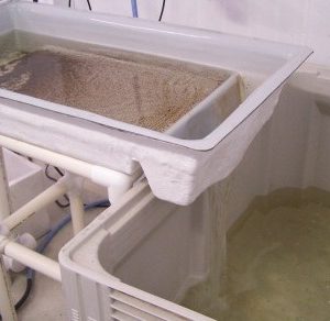 clarifier sump cp